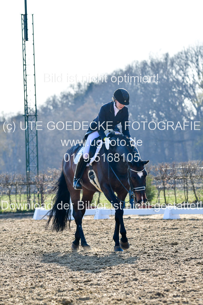Reitsportzentrum Bremervörde | 170421 Dressur S+_146