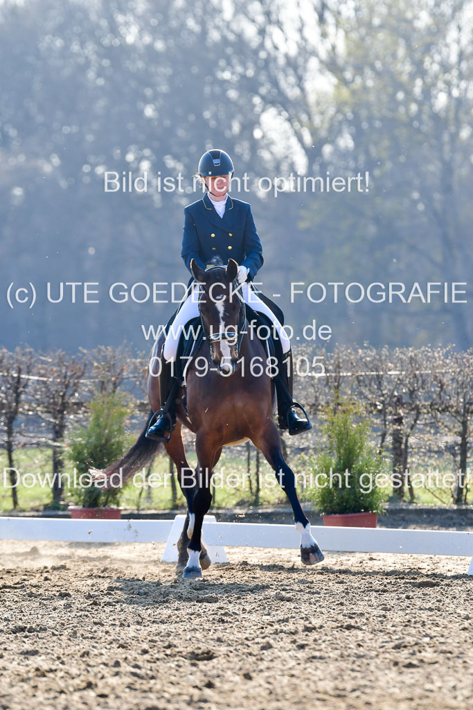 Reitsportzentrum Bremervörde | 170421 Dressur S+_150