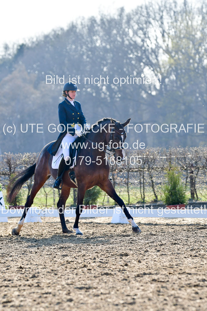Reitsportzentrum Bremervörde | 170421 Dressur S+_155