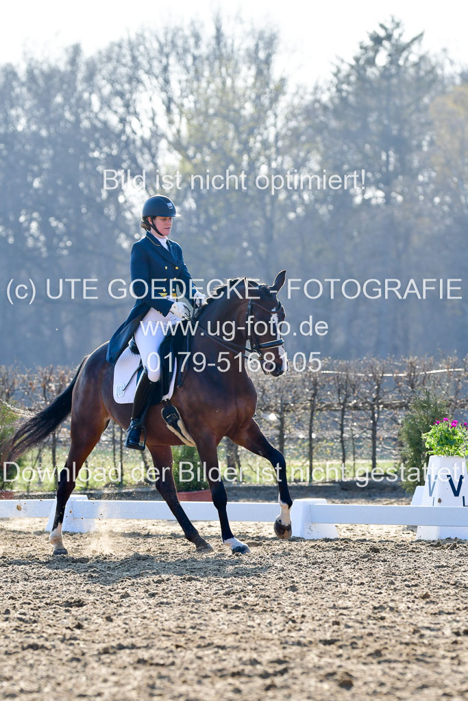 Reitsportzentrum Bremervörde | 170421 Dressur S+_156
