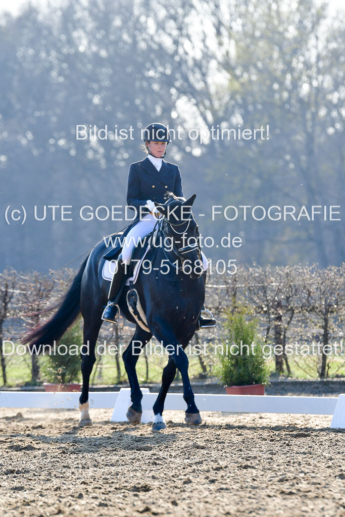Reitsportzentrum Bremervörde | 170421 Dressur S+_163 