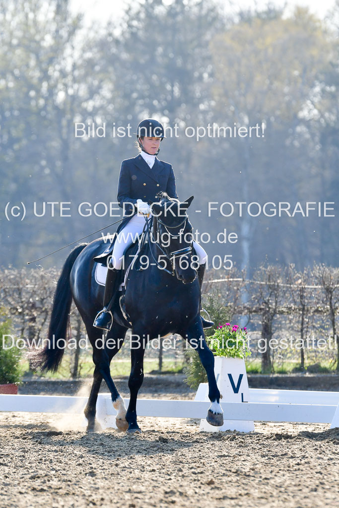 Reitsportzentrum Bremervörde | 170421 Dressur S+_164 
