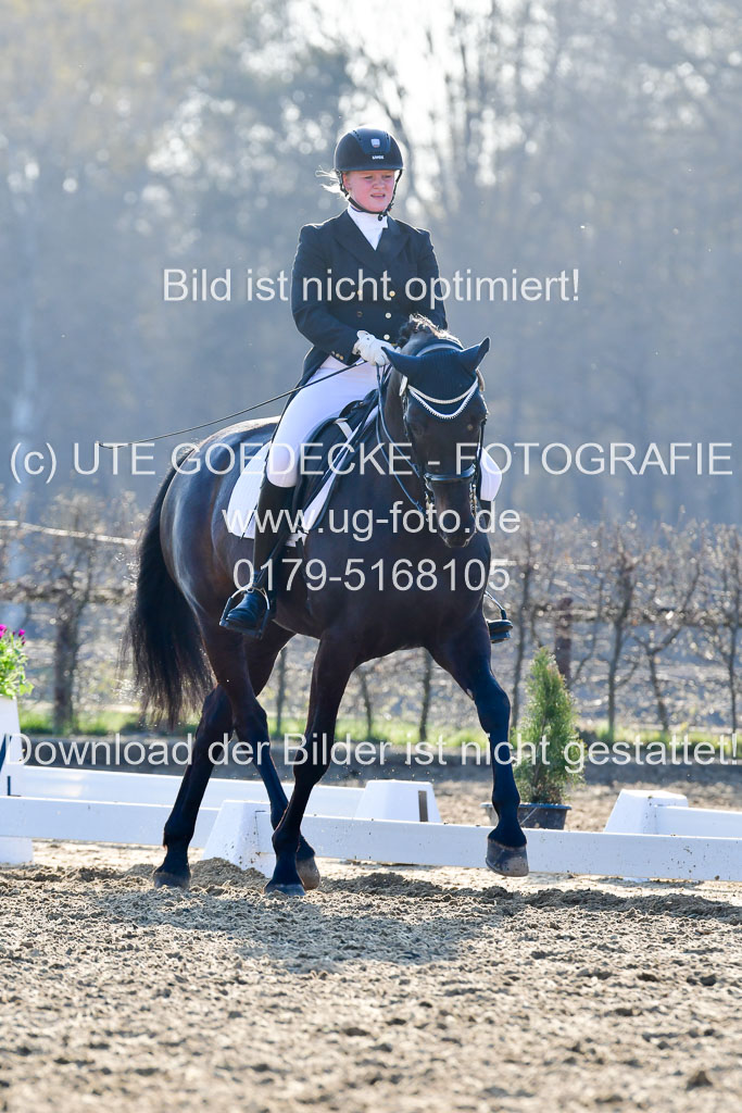 Reitsportzentrum Bremervörde | 170421 Dressur S+_172