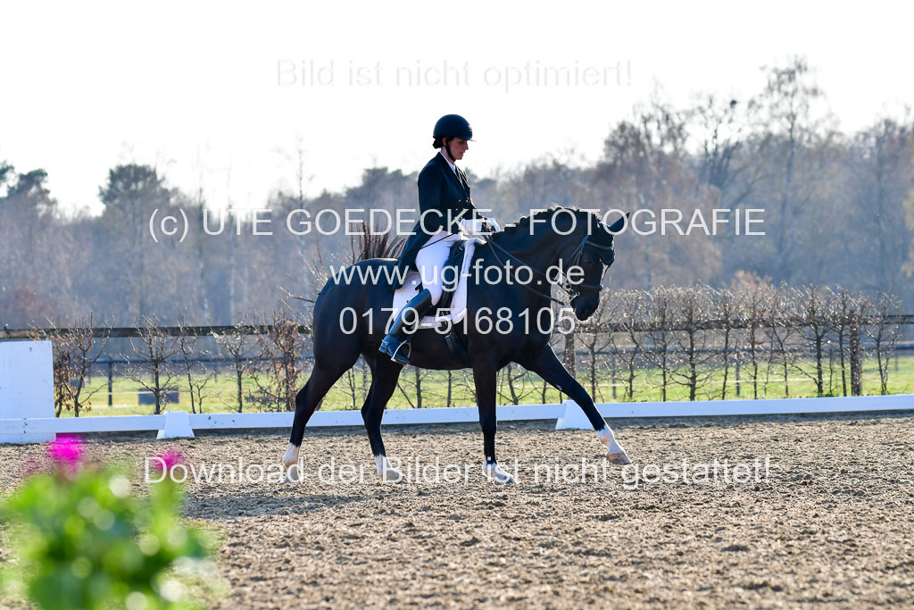 Reitsportzentrum Bremervörde | 170421 Dressur S+_187