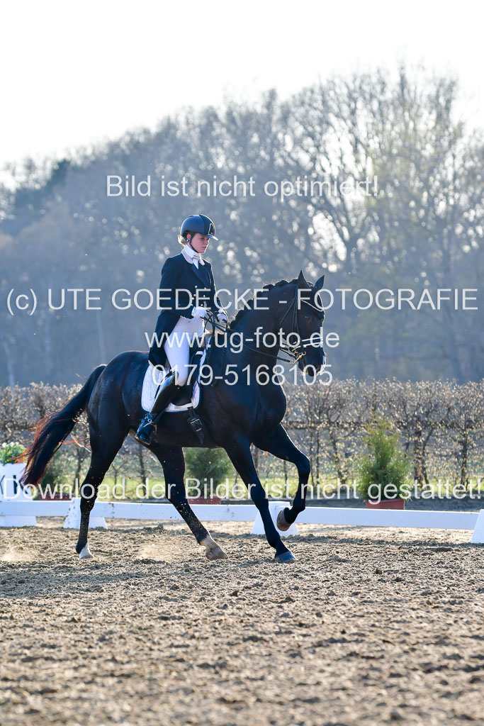Reitsportzentrum Bremervörde | 170421 Dressur S+_217
