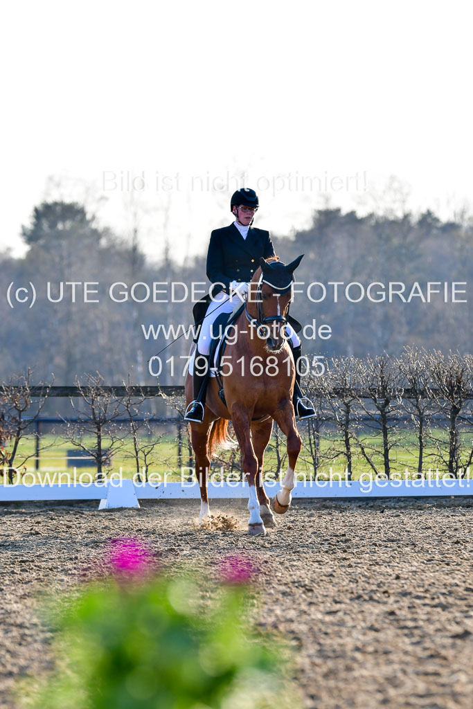 Reitsportzentrum Bremervörde | 170421 Dressur S+_225