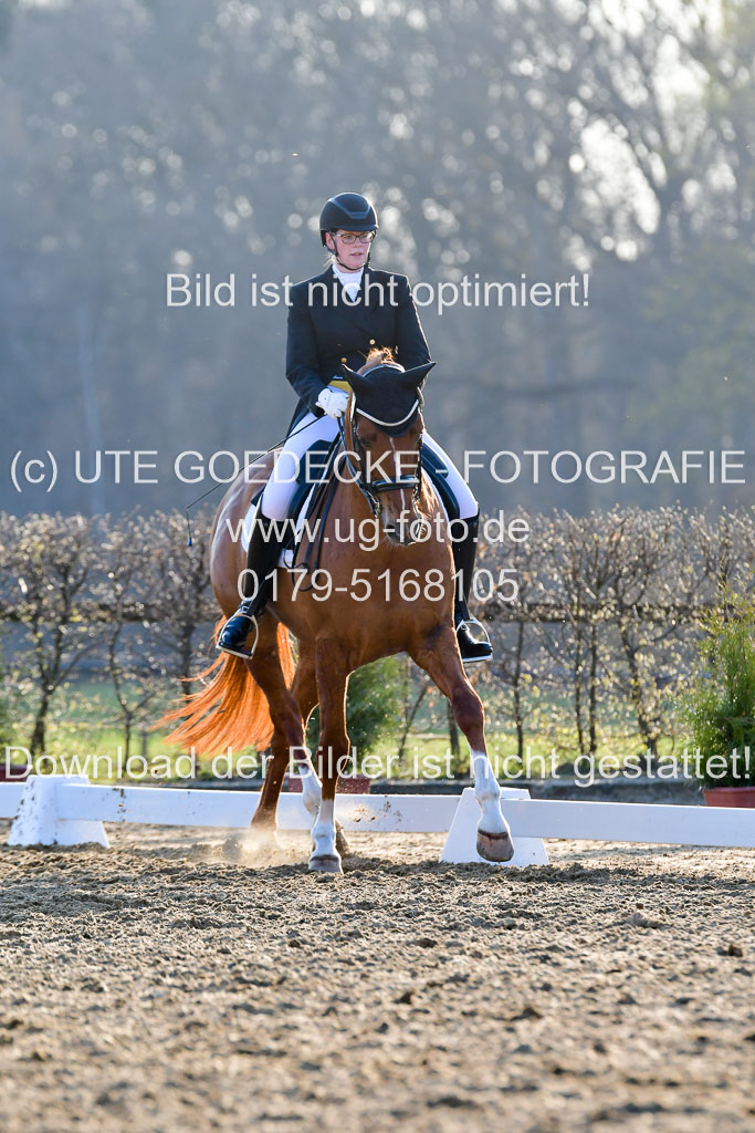 Reitsportzentrum Bremervörde | 170421 Dressur S+_226