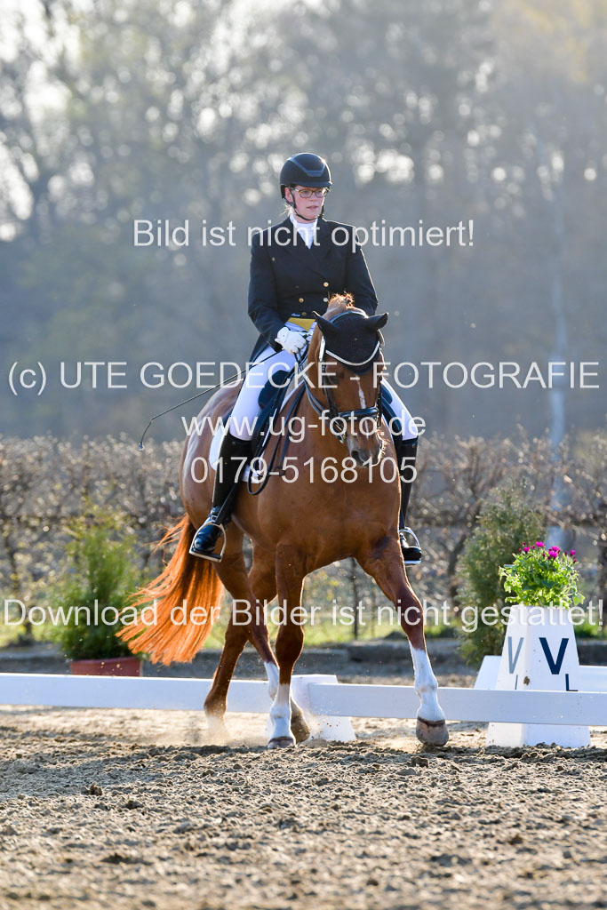 Reitsportzentrum Bremervörde | 170421 Dressur S+_227