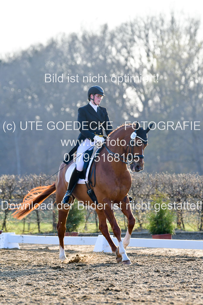 Reitsportzentrum Bremervörde | 170421 Dressur S+_229