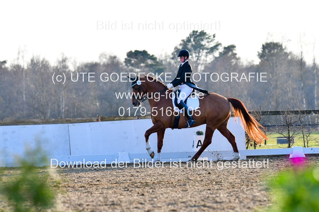Reitsportzentrum Bremervörde | 170421 Dressur S+_232 