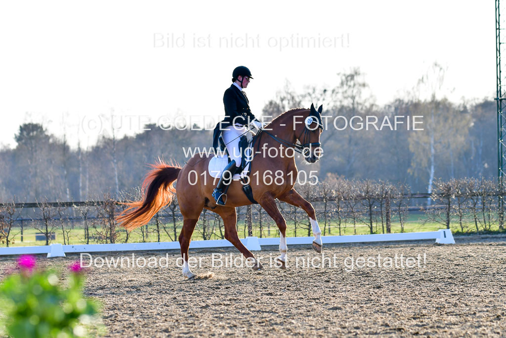 Reitsportzentrum Bremervörde | 170421 Dressur S+_234