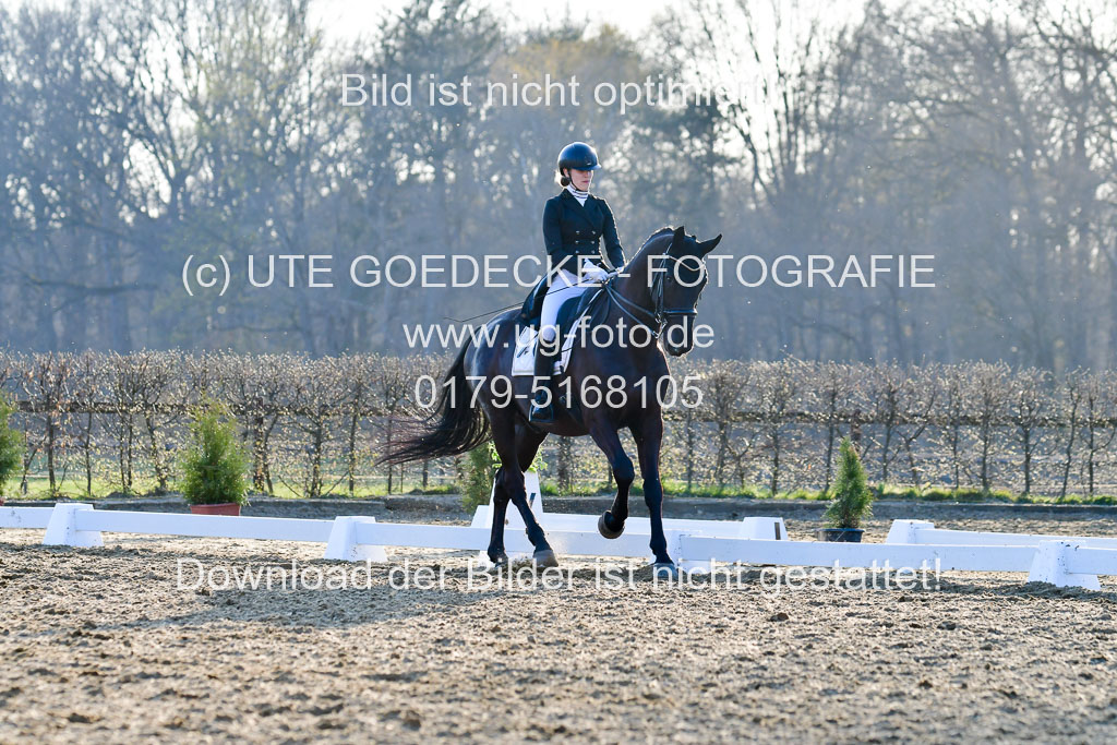 Reitsportzentrum Bremervörde | 170421 Dressur S+_237
