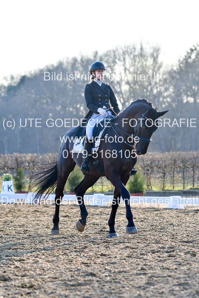 Reitsportzentrum Bremervörde | 170421 Dressur S+_239
