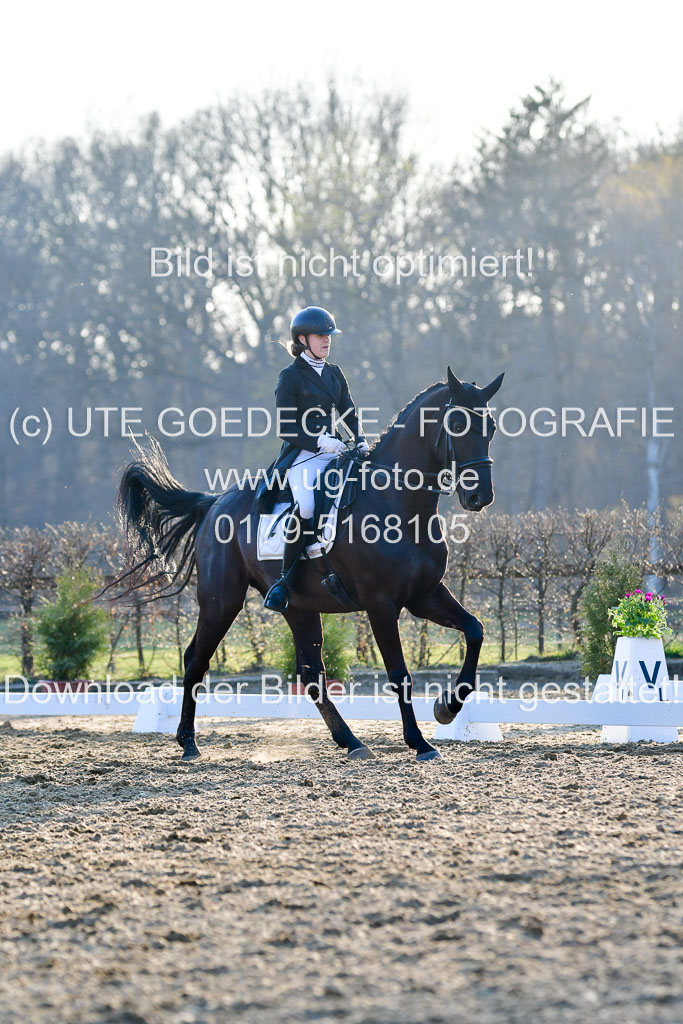 Reitsportzentrum Bremervörde | 170421 Dressur S+_248