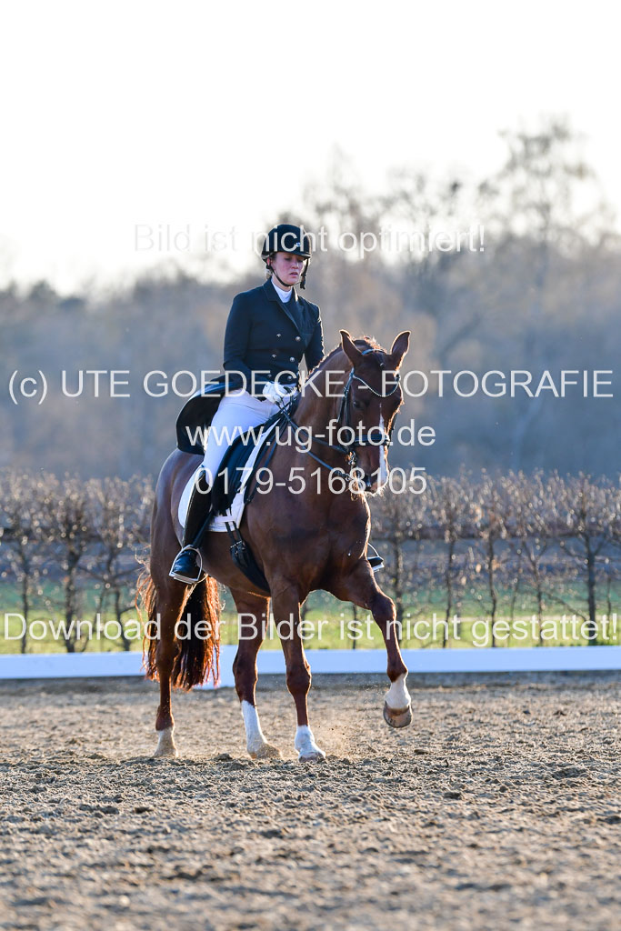 Reitsportzentrum Bremervörde | 170421 Dressur S+_276