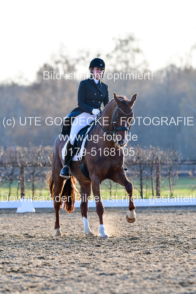 Reitsportzentrum Bremervörde | 170421 Dressur S+_277