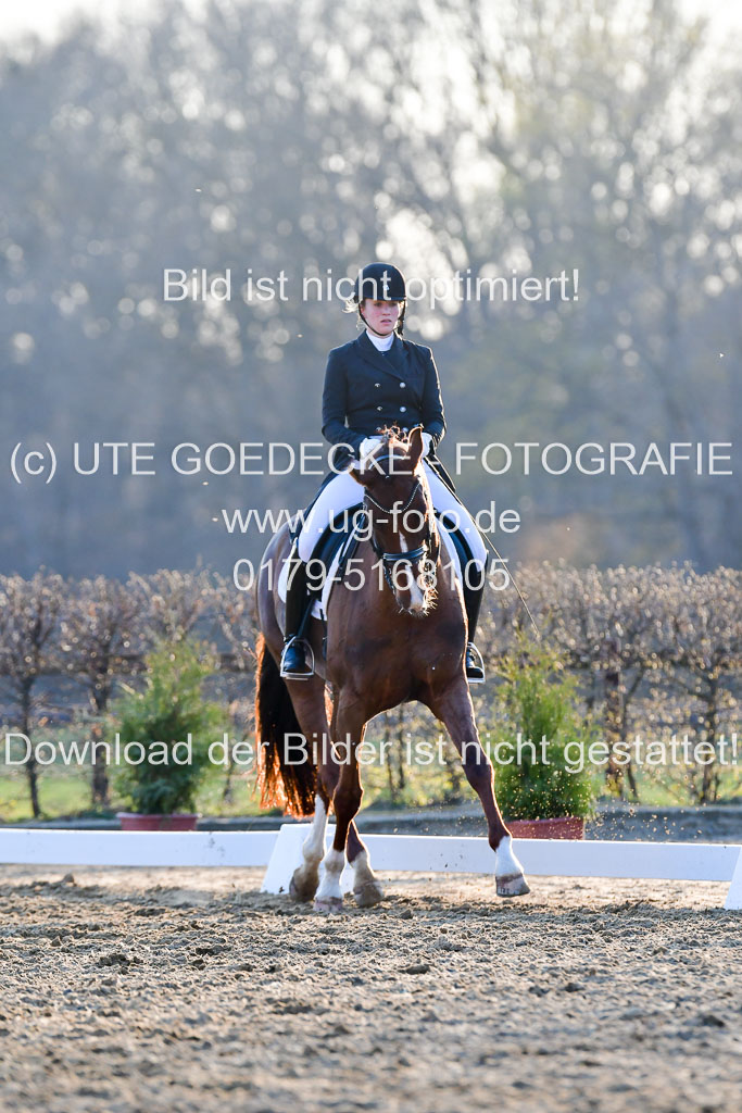 Reitsportzentrum Bremervörde | 170421 Dressur S+_279