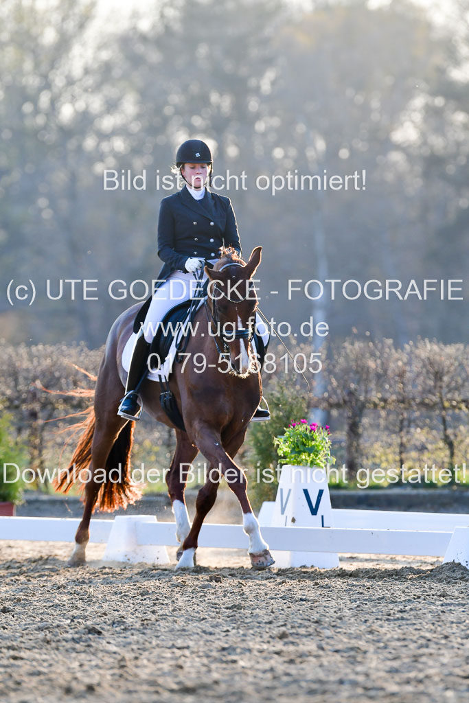 Reitsportzentrum Bremervörde | 170421 Dressur S+_282 