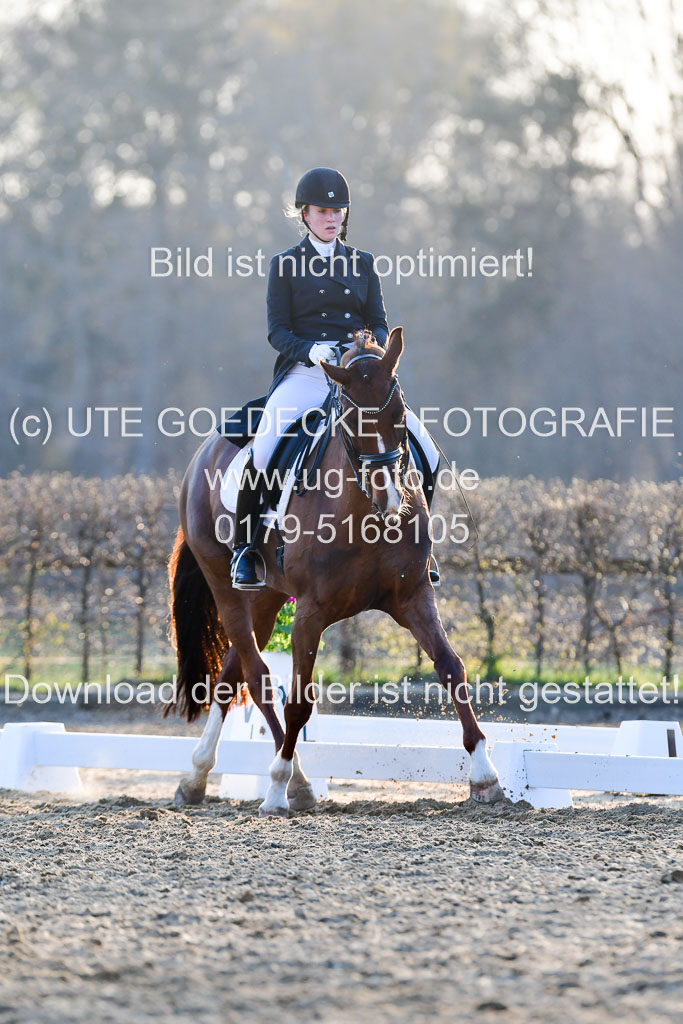 Reitsportzentrum Bremervörde | 170421 Dressur S+_283