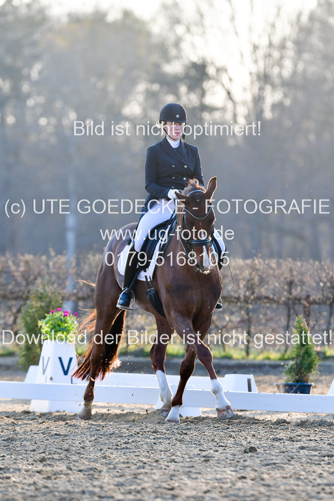 Reitsportzentrum Bremervörde | 170421 Dressur S+_284