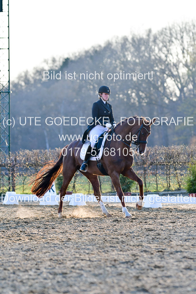 Reitsportzentrum Bremervörde | 170421 Dressur S+_288