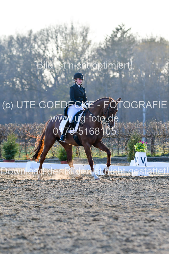 Reitsportzentrum Bremervörde | 170421 Dressur S+_289