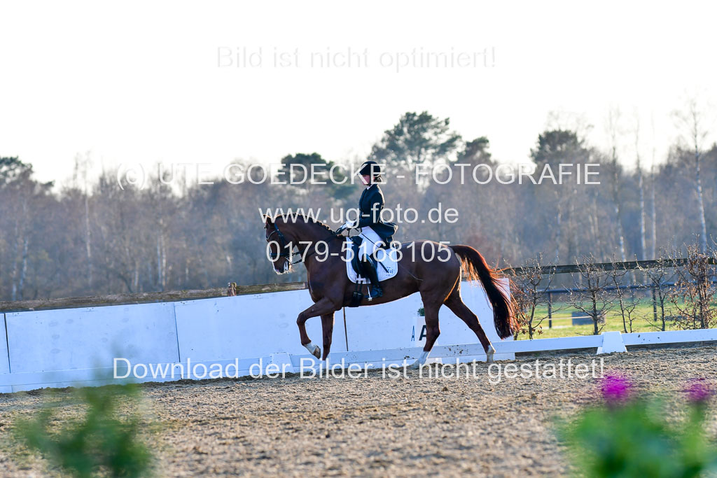Reitsportzentrum Bremervörde | 170421 Dressur S+_290