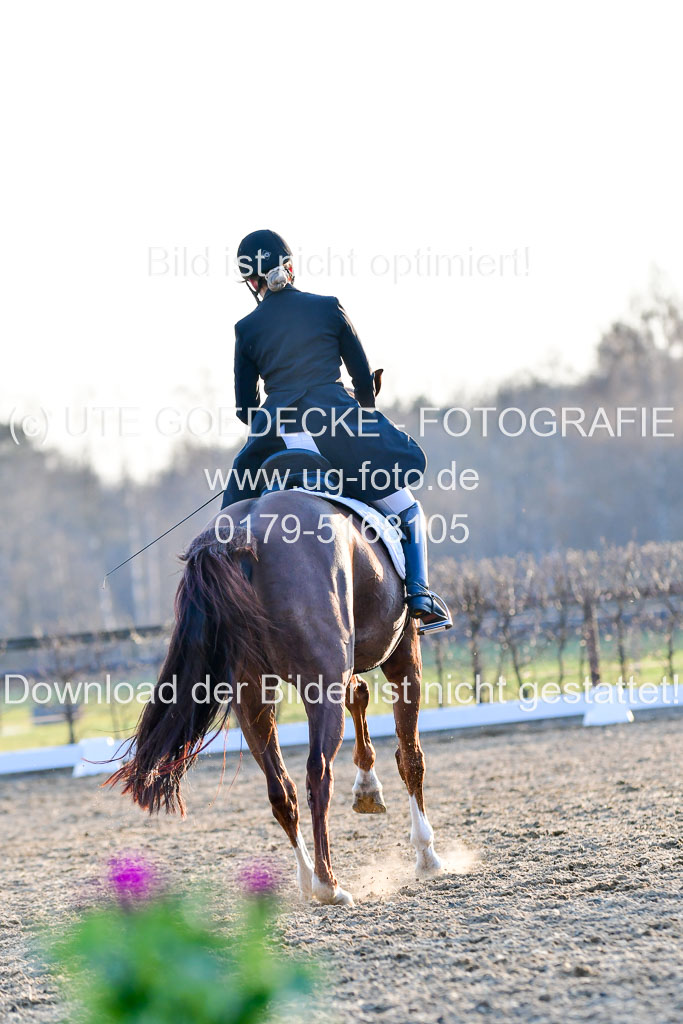 Reitsportzentrum Bremervörde | 170421 Dressur S+_292