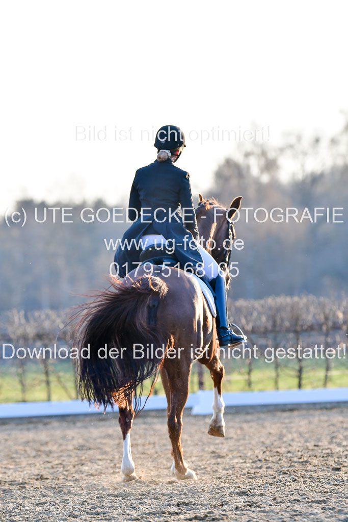 Reitsportzentrum Bremervörde | 170421 Dressur S+_293