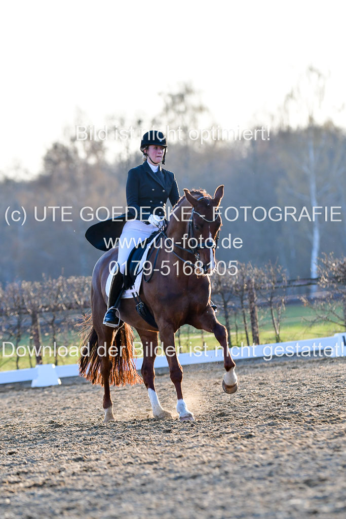 Reitsportzentrum Bremervörde | 170421 Dressur S+_295 