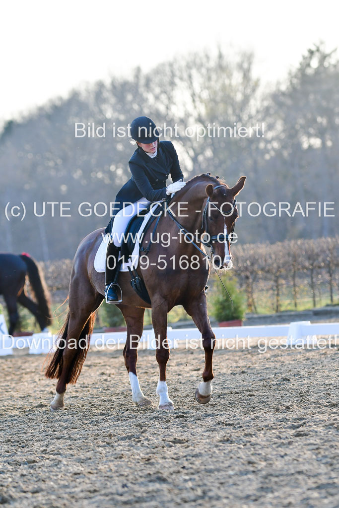 Reitsportzentrum Bremervörde | 170421 Dressur S+_296