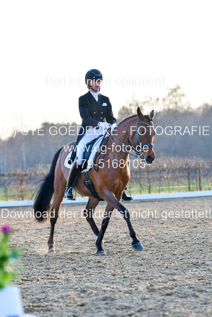 Reitsportzentrum Bremervörde | 170421 Dressur S+_343 