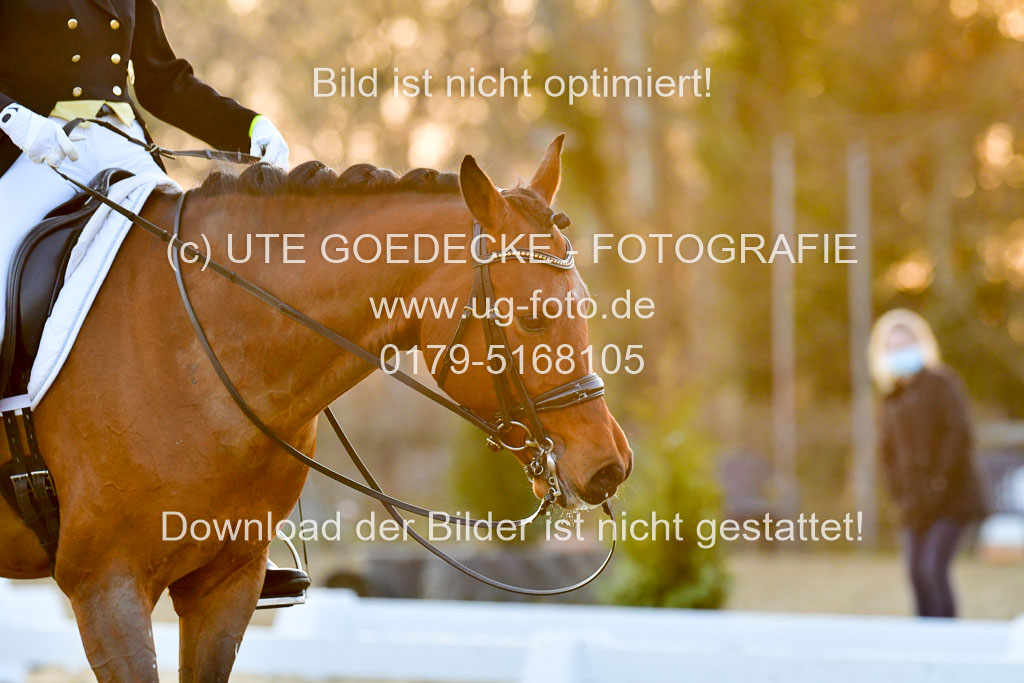 Reitsportzentrum Bremervörde | 170421 Dressur S+_361 