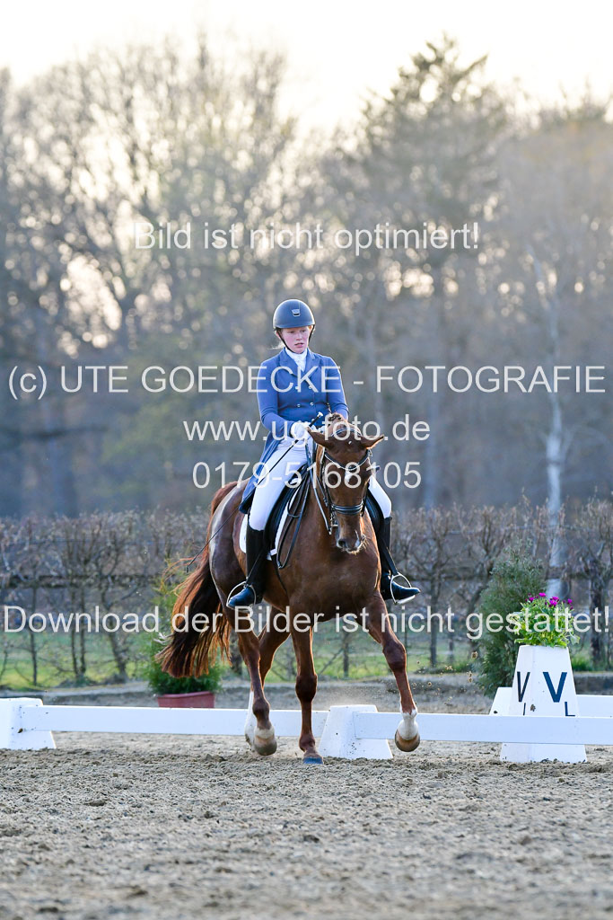 Reitsportzentrum Bremervörde | 170421 Dressur S+_367 