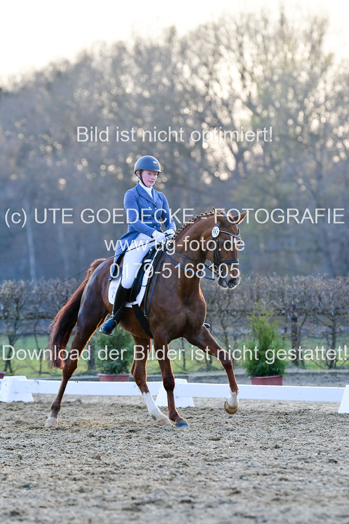 Reitsportzentrum Bremervörde | 170421 Dressur S+_370 