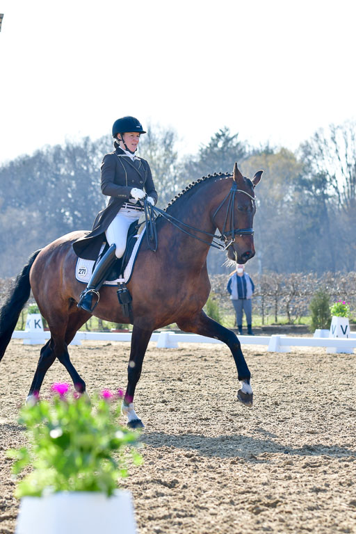 Reitsportzentrum Bremervörde | 170421 Dressur S+_007 