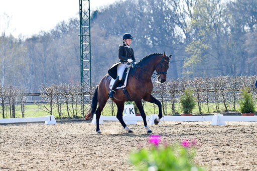 Reitsportzentrum Bremervörde | 170421 Dressur S+_008 