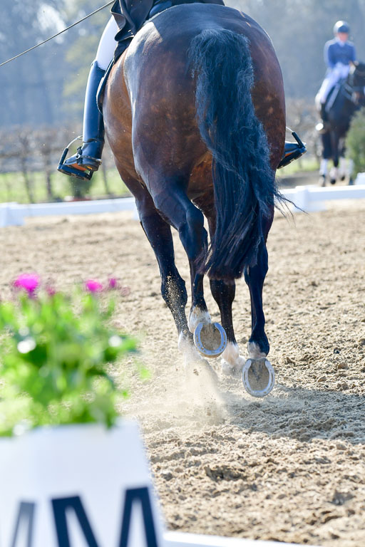 Reitsportzentrum Bremervörde | 170421 Dressur S+_009 