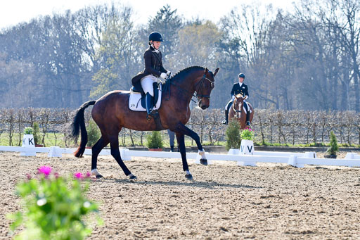 Reitsportzentrum Bremervörde | 170421 Dressur S+_011 