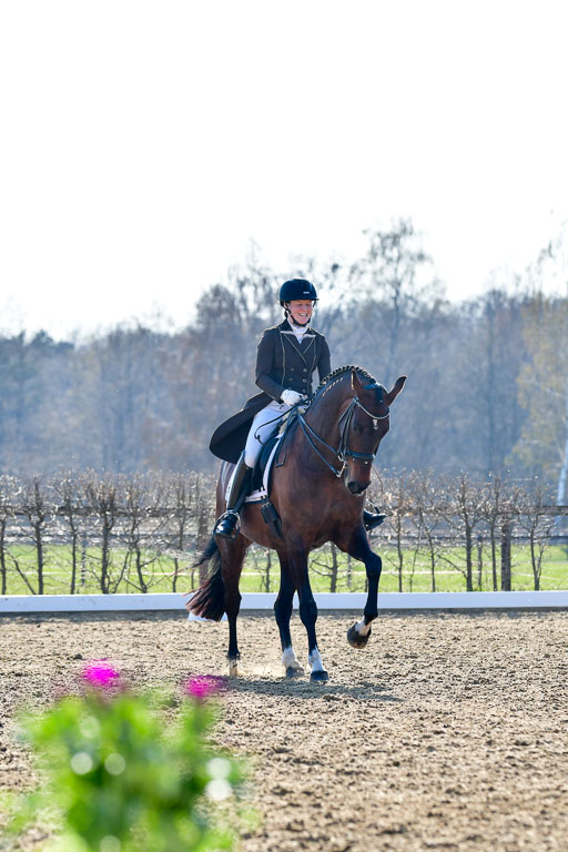 Reitsportzentrum Bremervörde | 170421 Dressur S+_012 