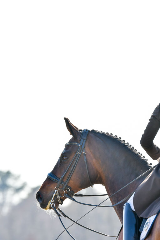 Reitsportzentrum Bremervörde | 170421 Dressur S+_015 