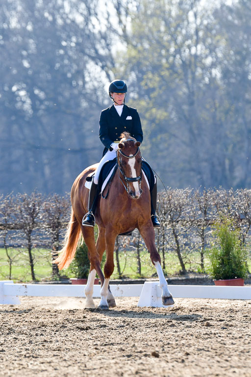 Reitsportzentrum Bremervörde | 170421 Dressur S+_019 