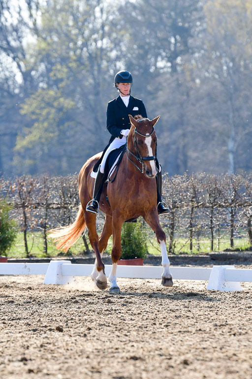 Reitsportzentrum Bremervörde | 170421 Dressur S+_020 