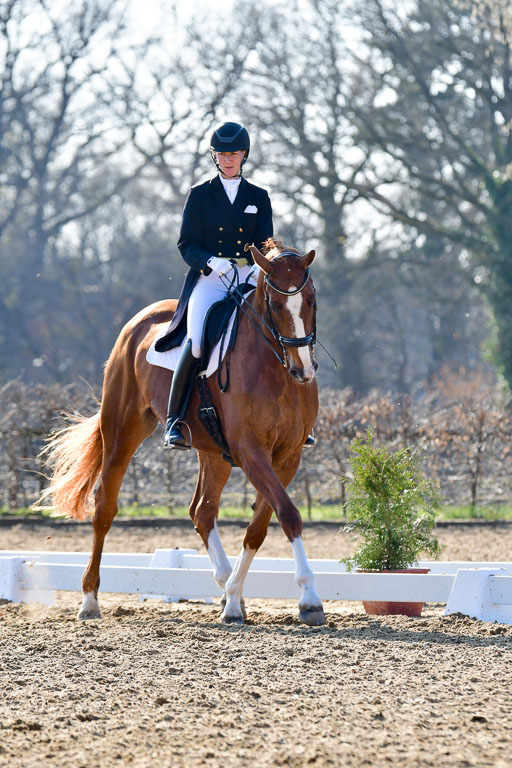 Reitsportzentrum Bremervörde | 170421 Dressur S+_021 