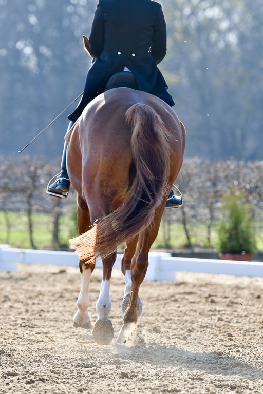Reitsportzentrum Bremervörde | 170421 Dressur S+_022 