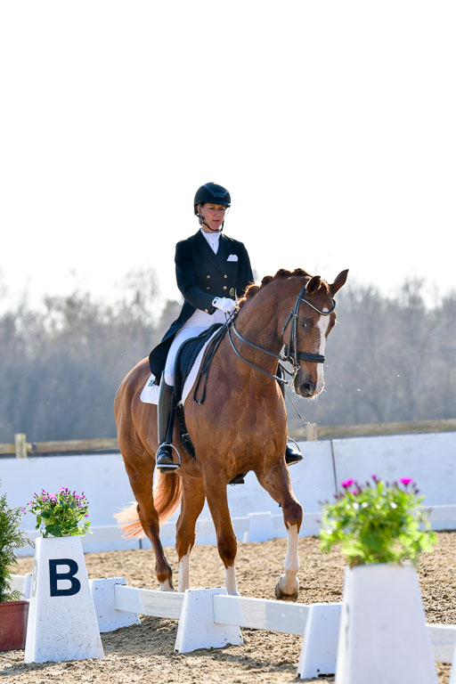 Reitsportzentrum Bremervörde | 170421 Dressur S+_024 