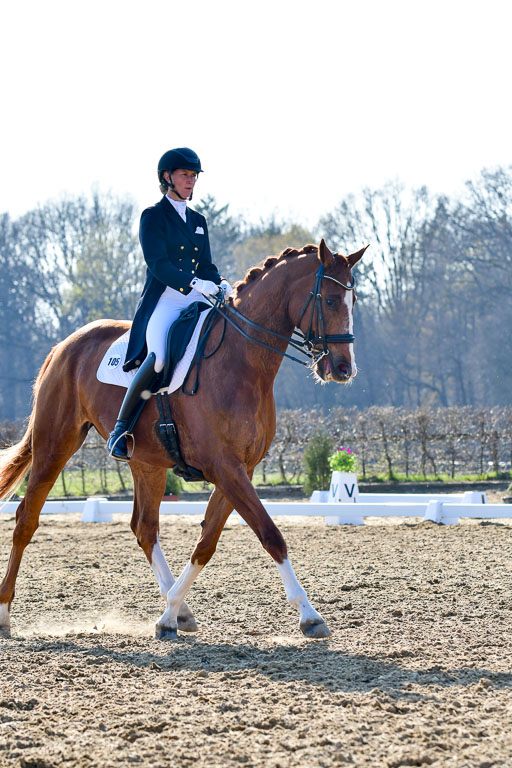 Reitsportzentrum Bremervörde | 170421 Dressur S+_025 