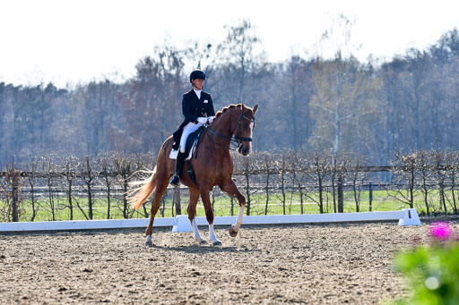 Reitsportzentrum Bremervörde | 170421 Dressur S+_026 