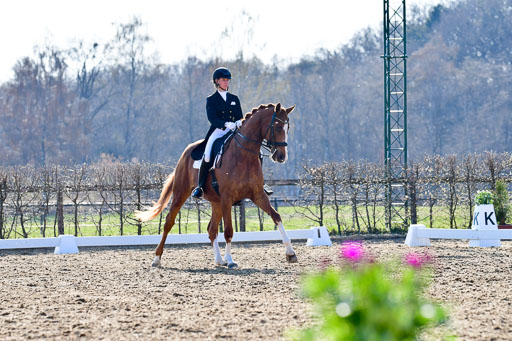Reitsportzentrum Bremervörde | 170421 Dressur S+_027 