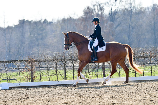 Reitsportzentrum Bremervörde | 170421 Dressur S+_029 